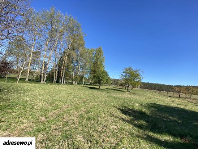 Działka rolno-budowlana Jarszewko. Zdjęcie 1