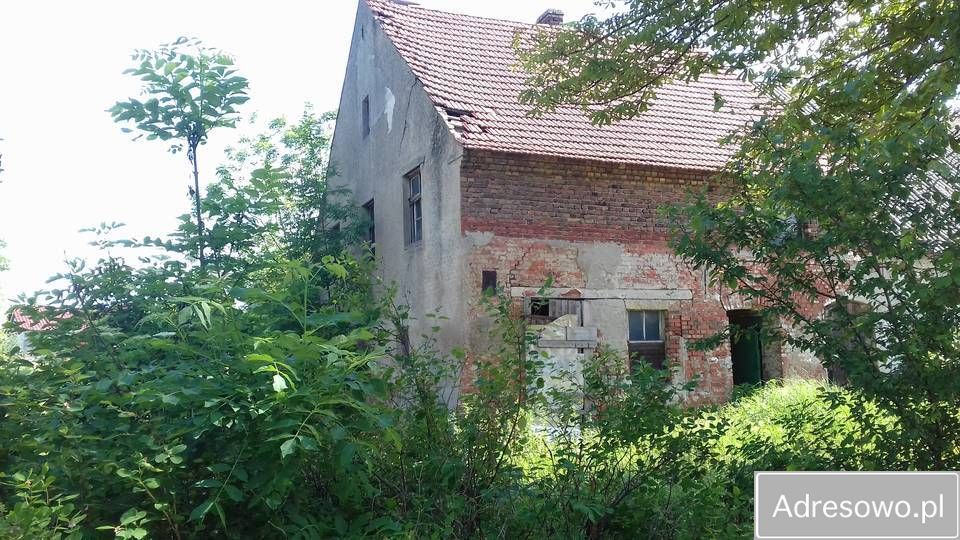 gospodarstwo Bożnów. Zdjęcie 7