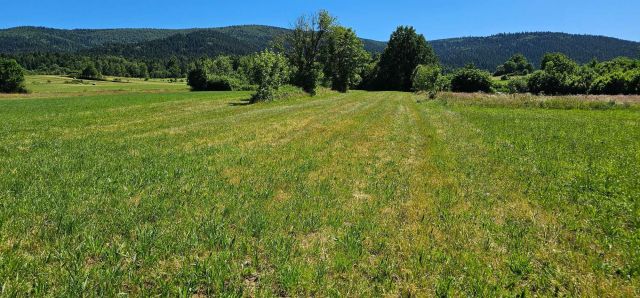 Działka rolno-budowlana Podłopień. Zdjęcie 1