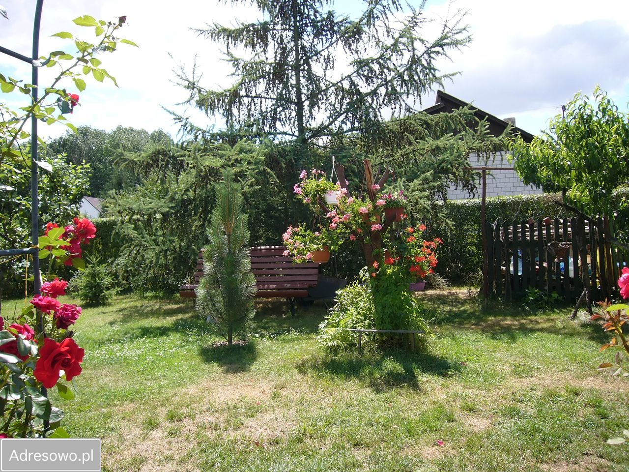 Działka rod Okołowice. Zdjęcie 2