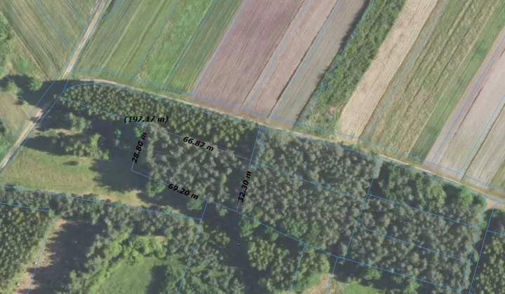 Działka leśna Piechoty