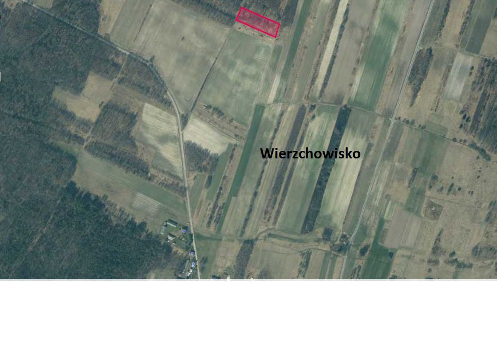 Działka siedliskowa Wierzchowisko. Zdjęcie 7