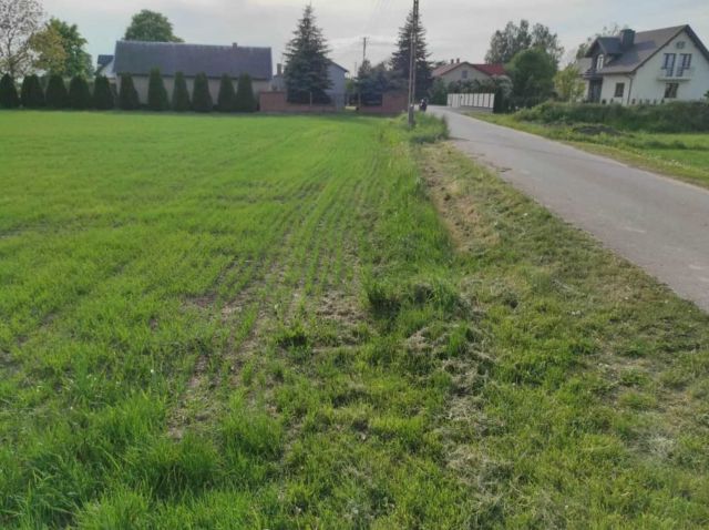 Działka rolno-budowlana Mizerka. Zdjęcie 1