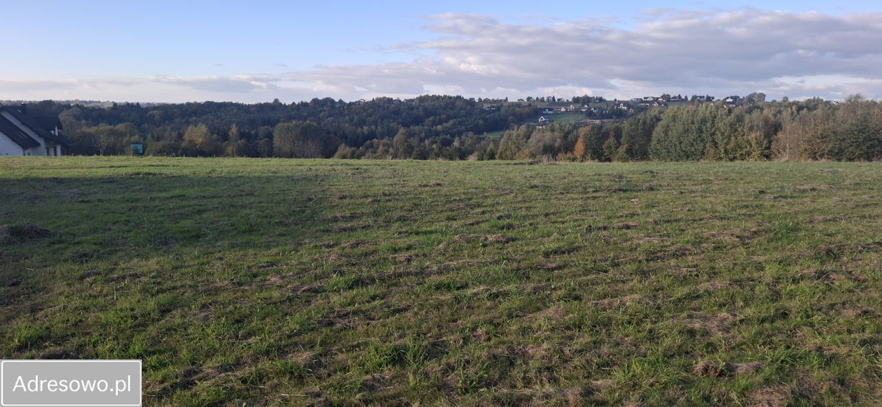 Działka rolno-budowlana Borzęta. Zdjęcie 4