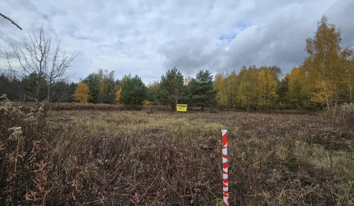 Działka budowlana Czarny Las