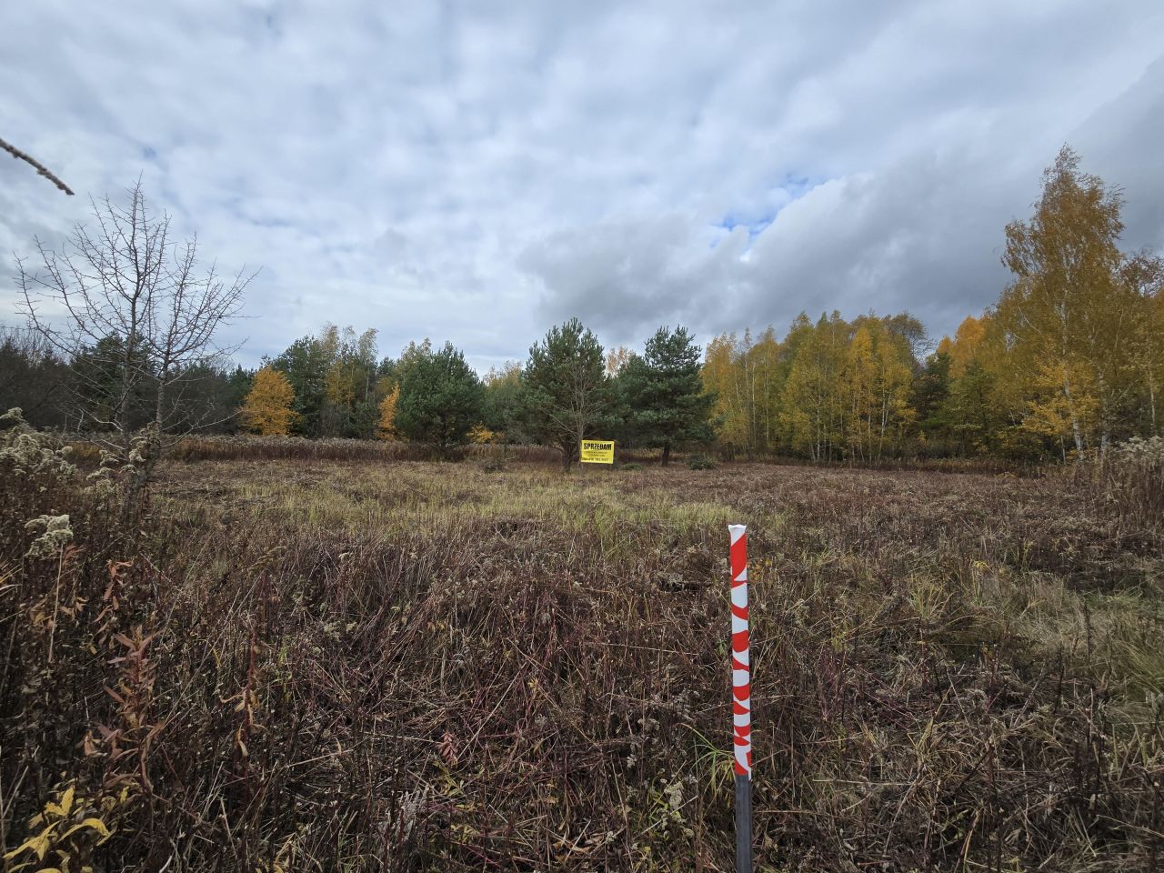 Działka budowlana Czarny Las