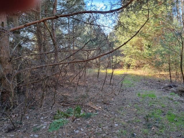 Działka budowlana Strzeniówka. Zdjęcie 3