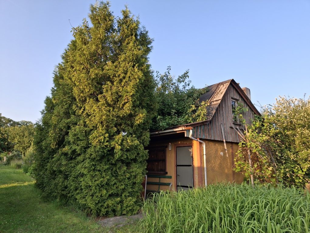 Działka rod Bolesławiec. Zdjęcie 2