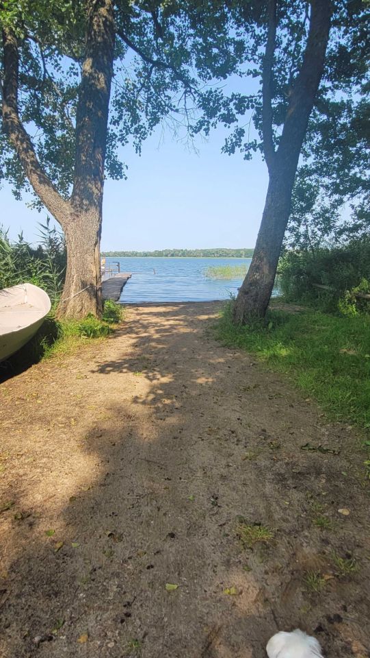 Działka rekreacyjna Leśniewo. Zdjęcie 6