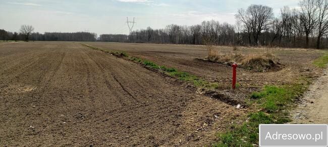 Działka budowlana Orły-Cesin. Zdjęcie 9