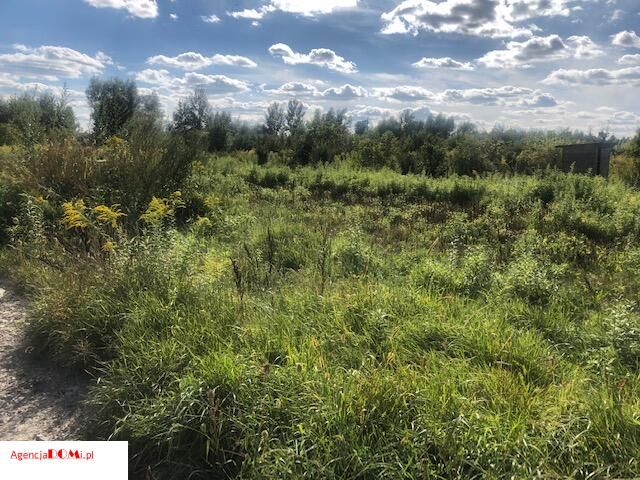 Działka budowlana Bramki. Zdjęcie 5