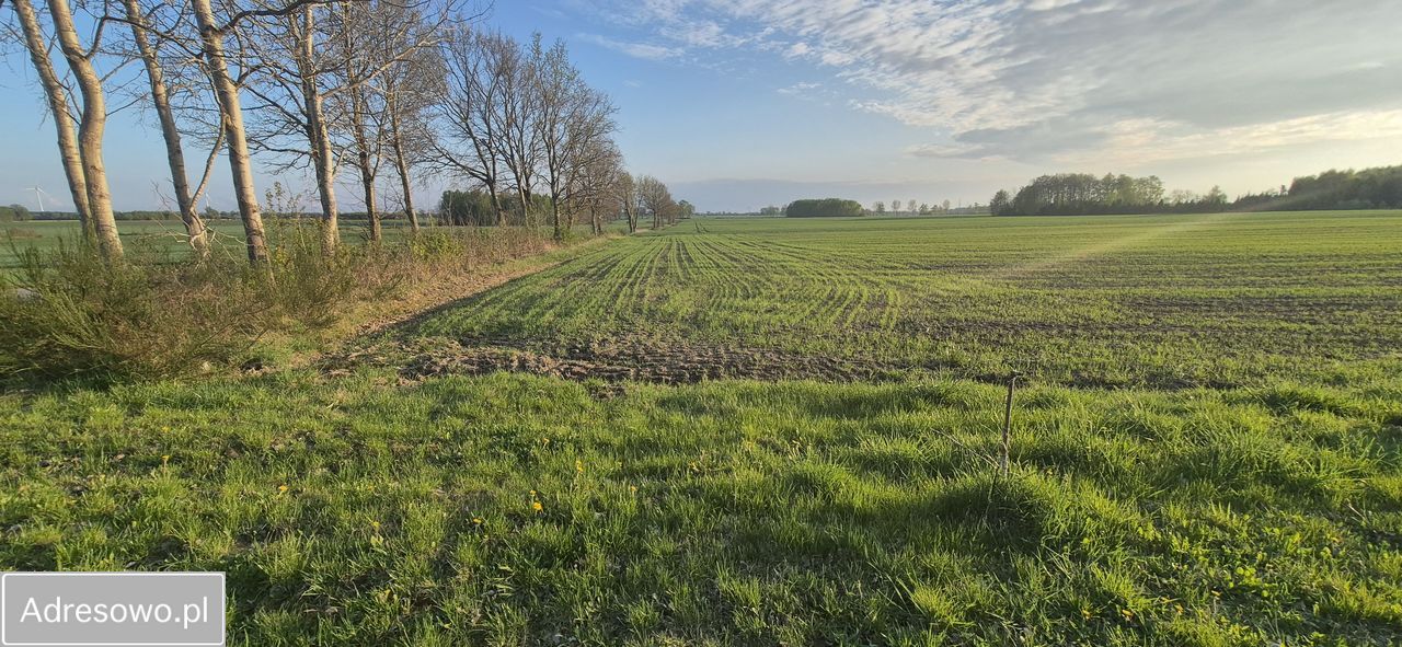 Działka rolno-budowlana Wielichowo. Zdjęcie 8