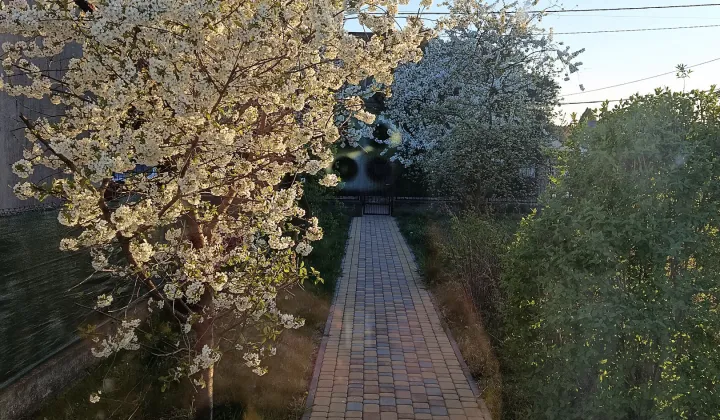 dom wolnostojący, 2 pokoje Pomiechówek