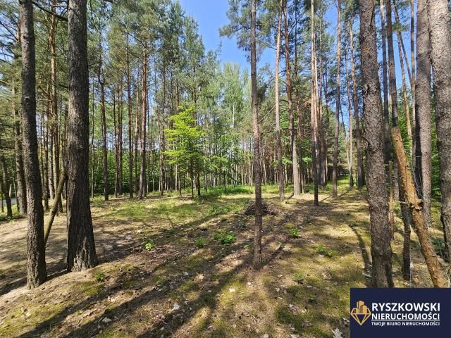 Działka budowlana Trzepieciny. Zdjęcie 5