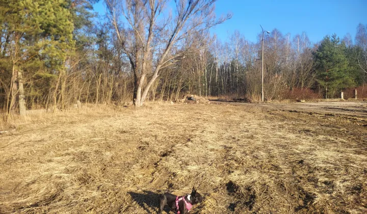 Działka budowlana Dąbrowa Górnicza Sikorka, ul. Skowronkowa
