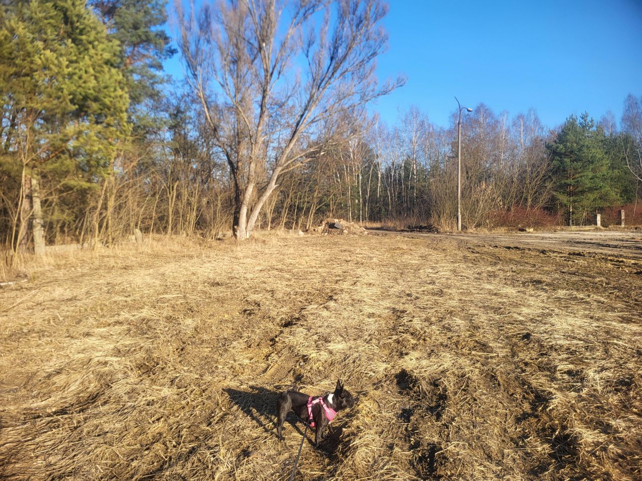 Działka budowlana Dąbrowa Górnicza Sikorka, ul. Gilowa. Zdjęcie 6