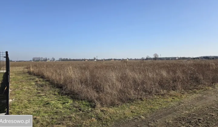 Działka budowlana Karpin, ul. Zielona