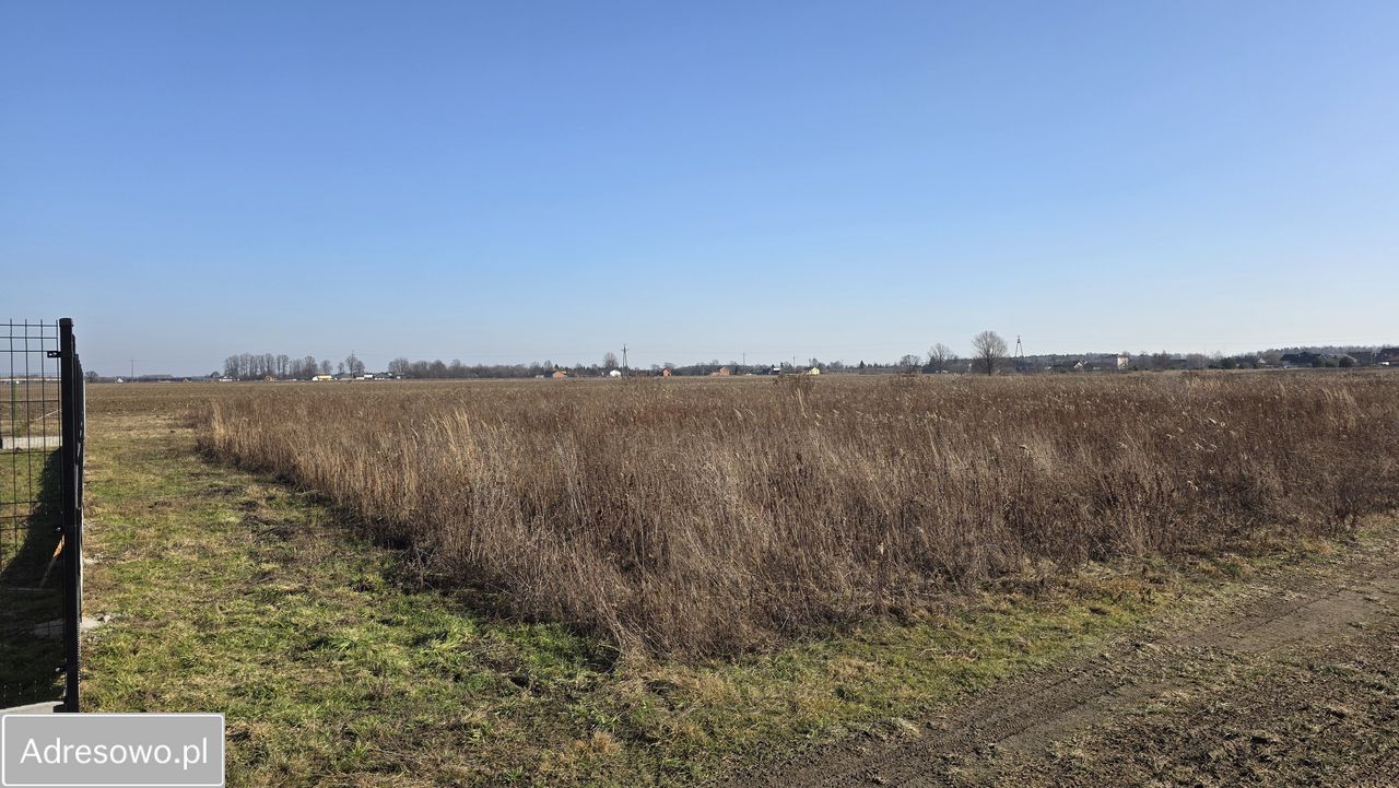 Działka budowlana Karpin, ul. Zielona. Zdjęcie 1