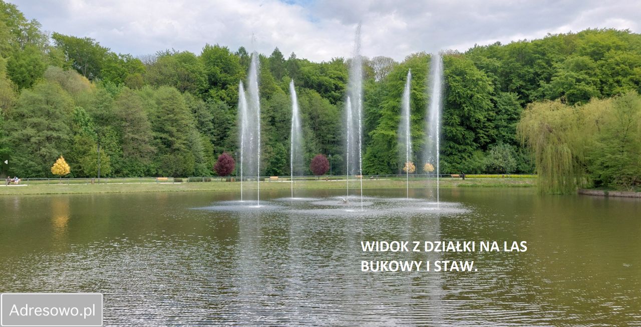 Działka inwestycyjna Trzebnica, ul. Leśna. Zdjęcie 6