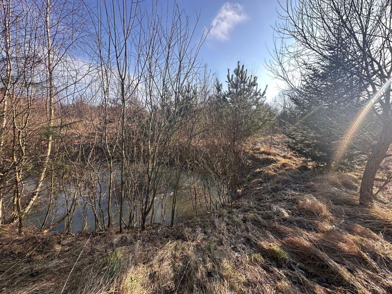 Działka budowlana Pomlewo, ul. Szkolna. Zdjęcie 7