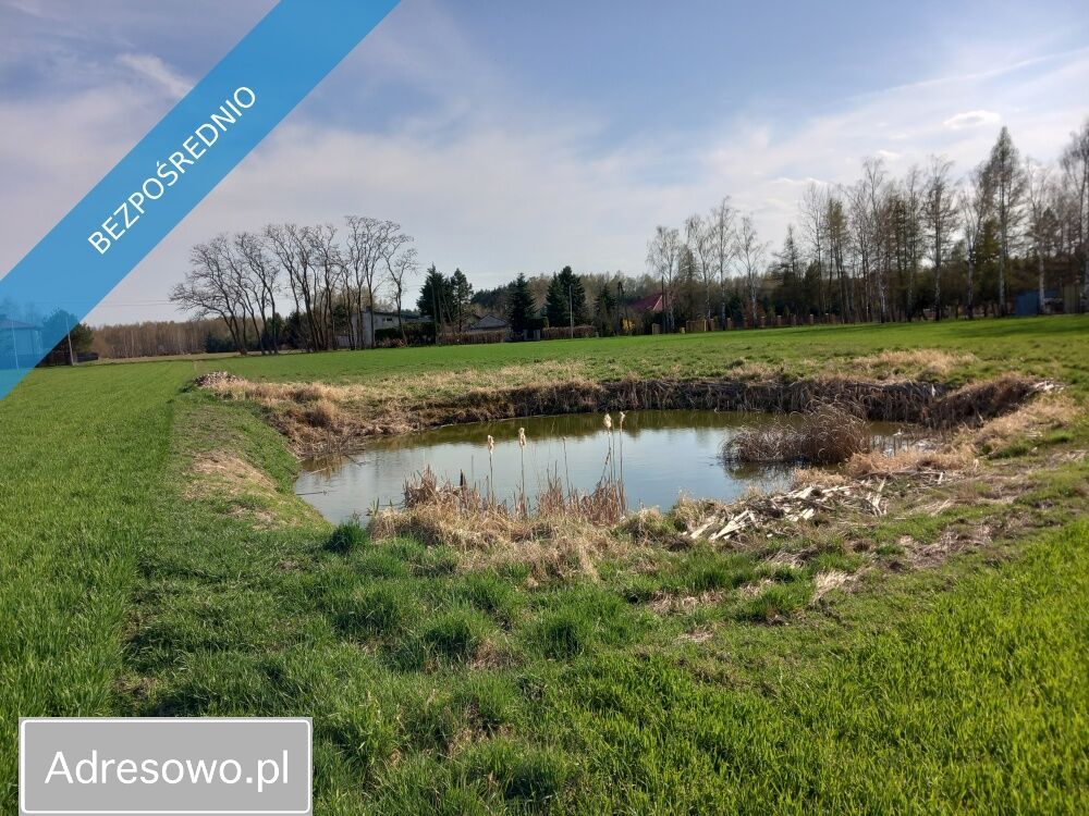 Działka rolno-budowlana Łódź Górna. Zdjęcie 6