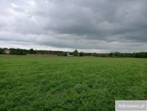 Działka rolno-budowlana Żyrzyn. Zdjęcie 4