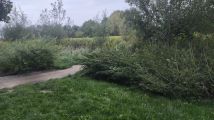 Działka budowlana Wrocław Strachowice. Zdjęcie 4