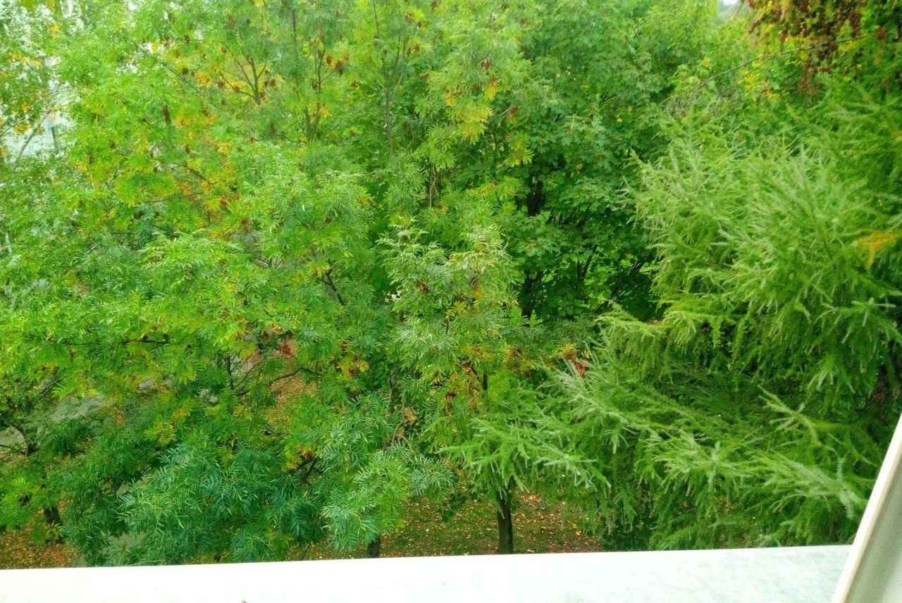 Zdjęcie 5