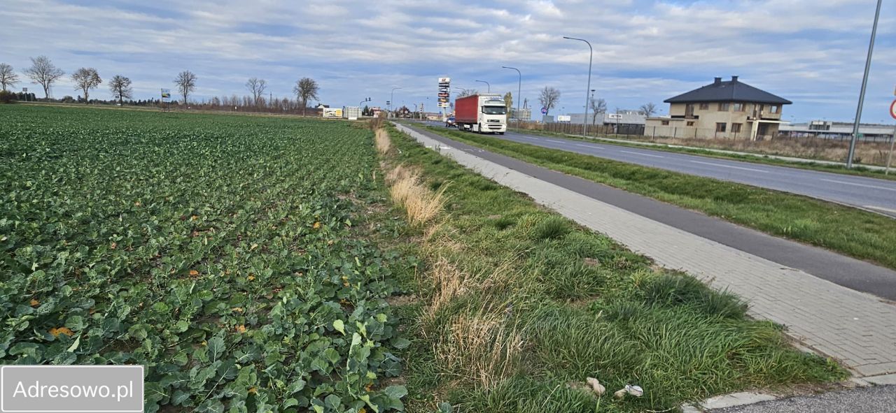 Działka inwestycyjna Opinogóra Górna. Zdjęcie 8
