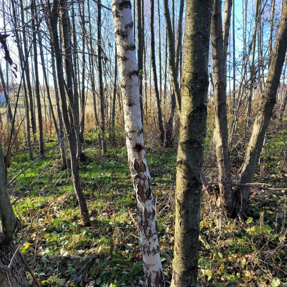 Działka budowlana Jodłówka Tuchowska. Zdjęcie 3