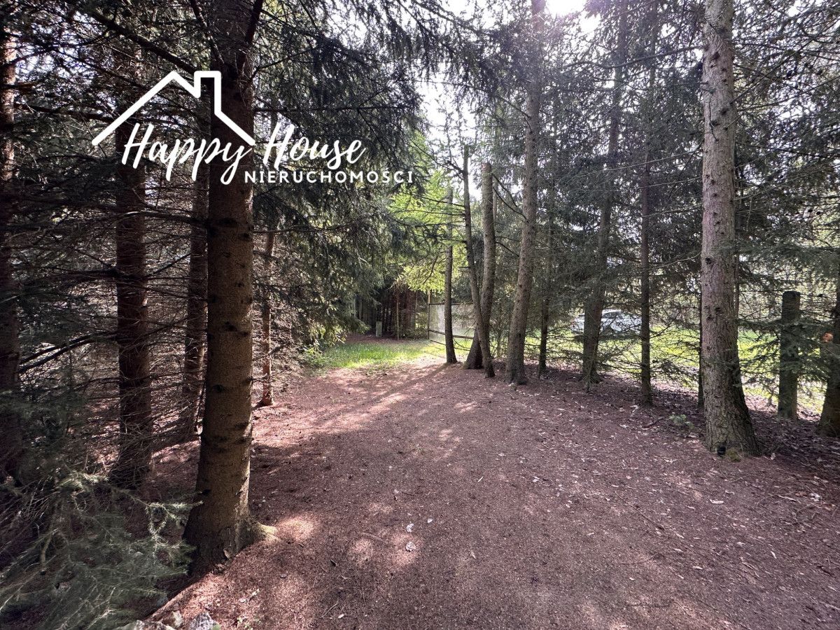 siedlisko, 6 pokoi Płocicz. Zdjęcie 36