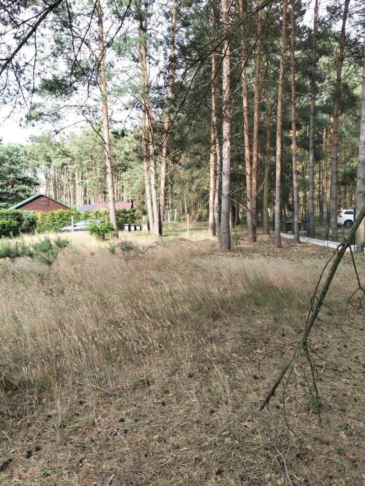 Działka rekreacyjna Uście, os. Uroczysko Żurawie