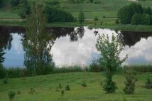 Działka siedliskowa Osinki. Zdjęcie 2