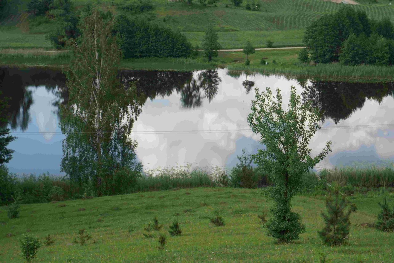 Działka siedliskowa Osinki. Zdjęcie 3