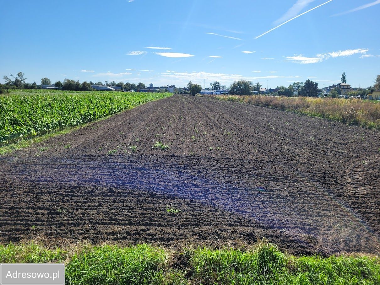 Działka budowlana Opole Nowa Wieś Królewska, ul. Bolesława Chrobrego. Zdjęcie 6