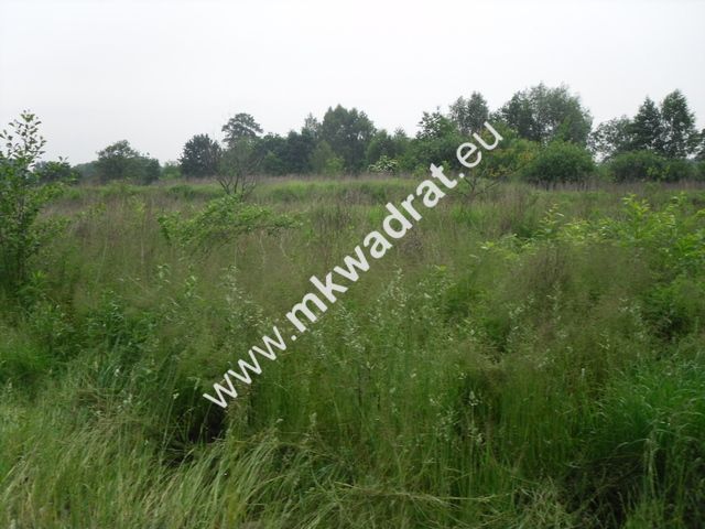 Działka siedliskowa Wola Pękoszewska. Zdjęcie 4