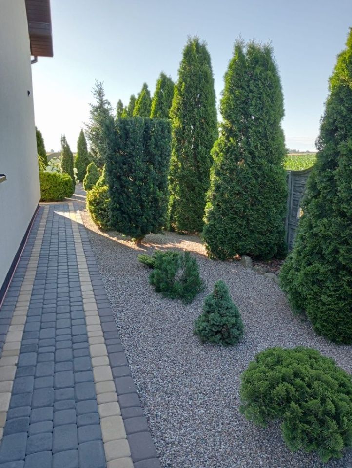 dom wolnostojący Tłuchowo. Zdjęcie 8