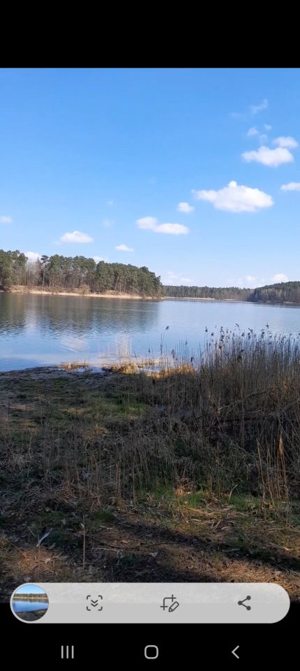 Działka rekreacyjna Zbiczno, Jeziorna. Zdjęcie 4