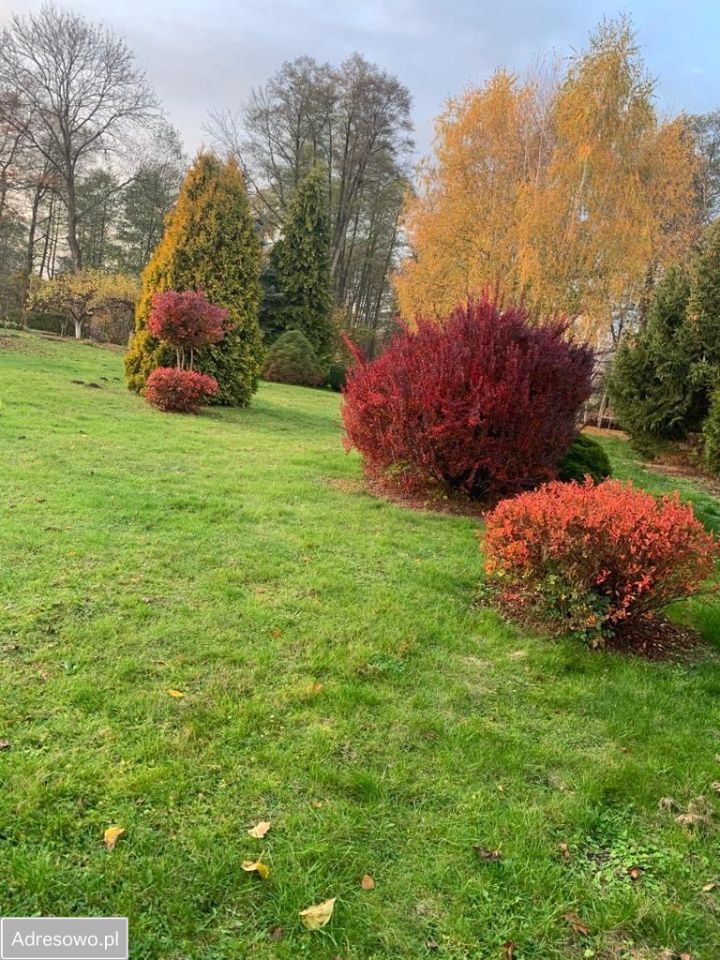 Działka budowlana Wilków Polski. Zdjęcie 19