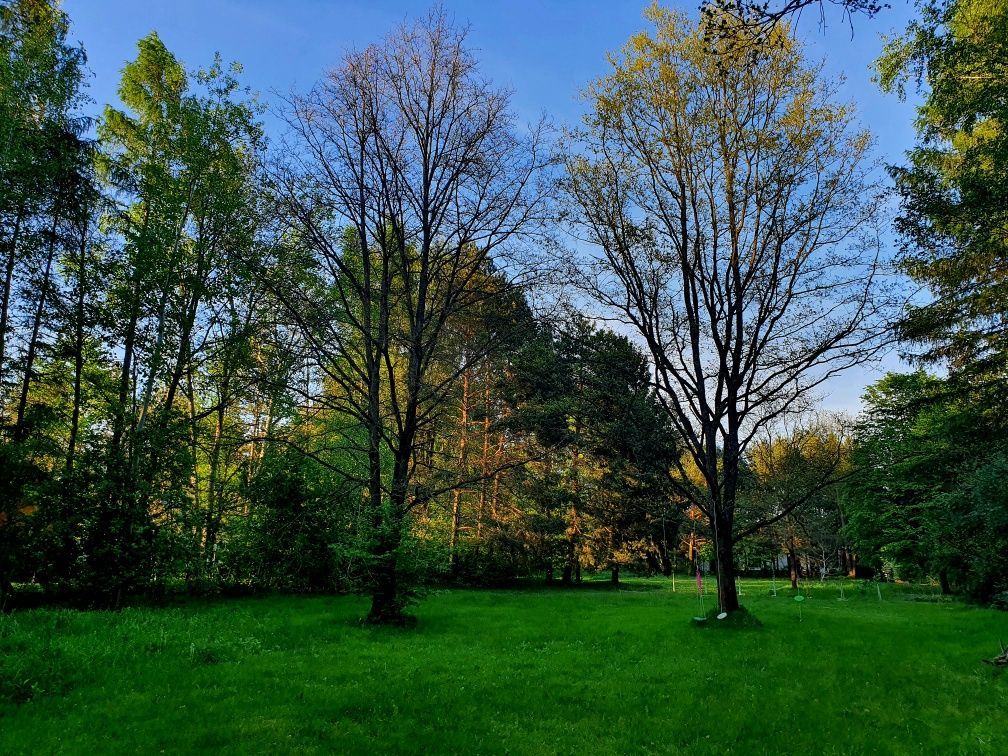 Działka budowlana Rydzynki. Zdjęcie 2