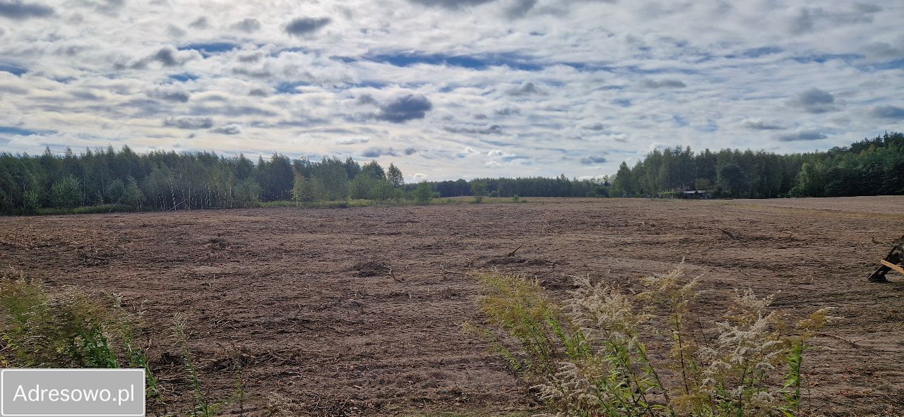 Działka rolna Jurzynek. Zdjęcie 2