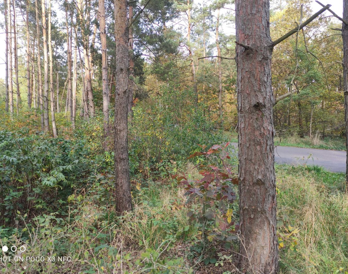 Działka budowlana Mariampol. Zdjęcie 7