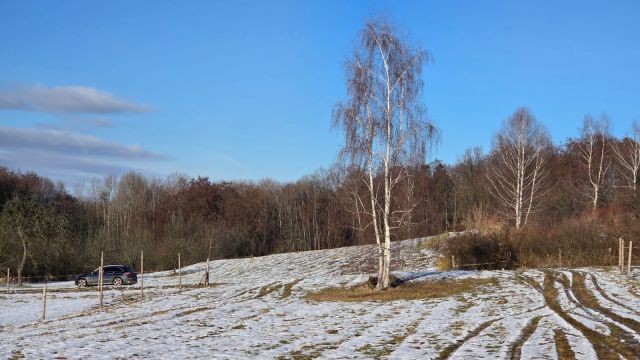 Działka siedliskowa Sady. Zdjęcie 10