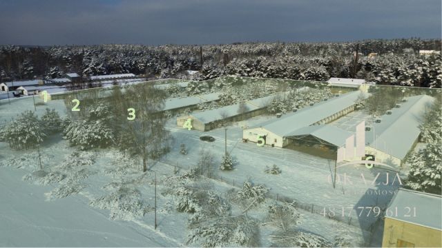 Działka inwestycyjna Wysoka Głogowska. Zdjęcie 1