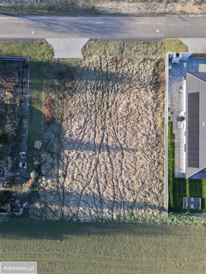 Działka siedliskowa Krzekotówek. Zdjęcie 8