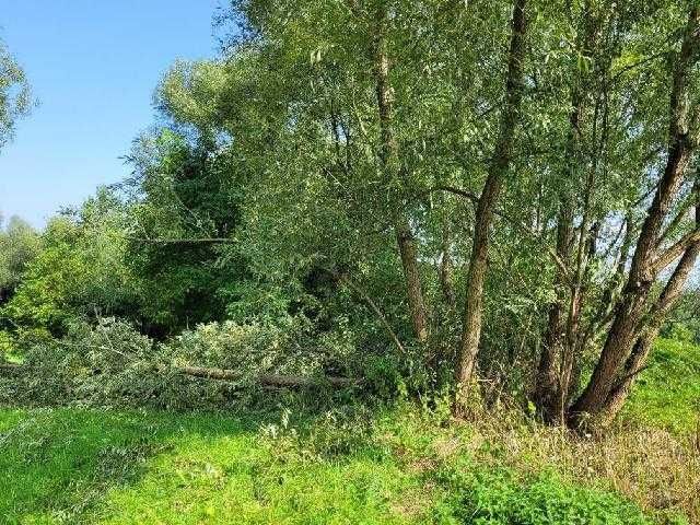 Działka inna Łodygowice. Zdjęcie 6