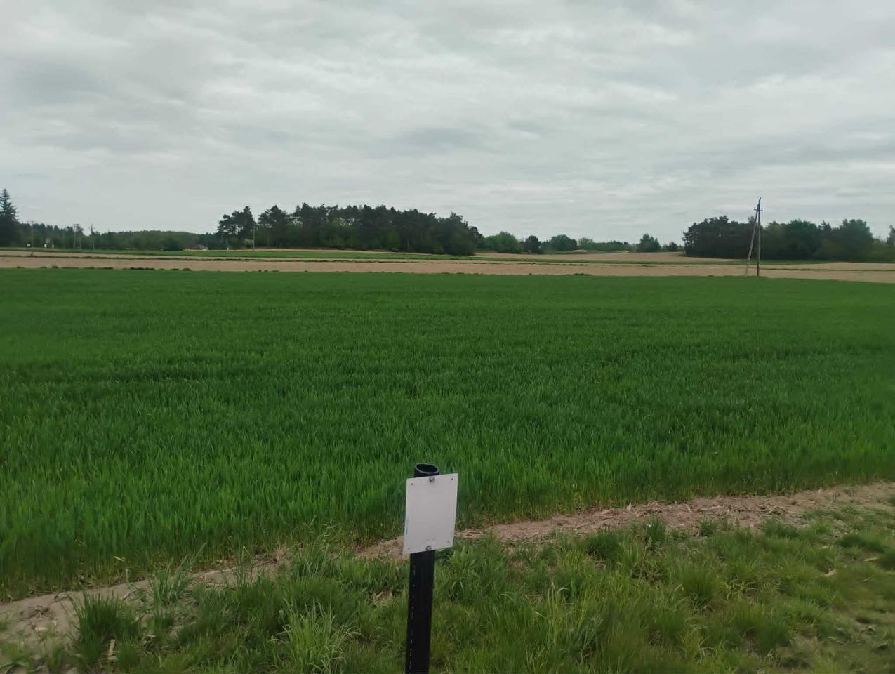 Działka budowlana Stare Proboszczewice, ul. Spółdzielcza. Zdjęcie 2