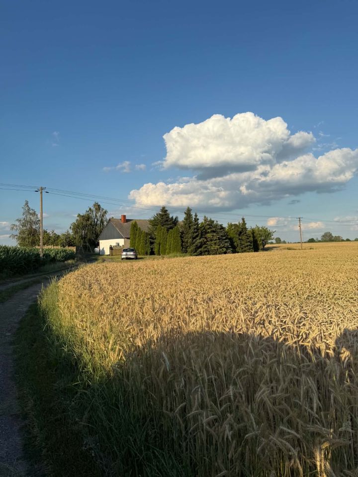 dom wolnostojący, 3 pokoje Wójtówka. Zdjęcie 17