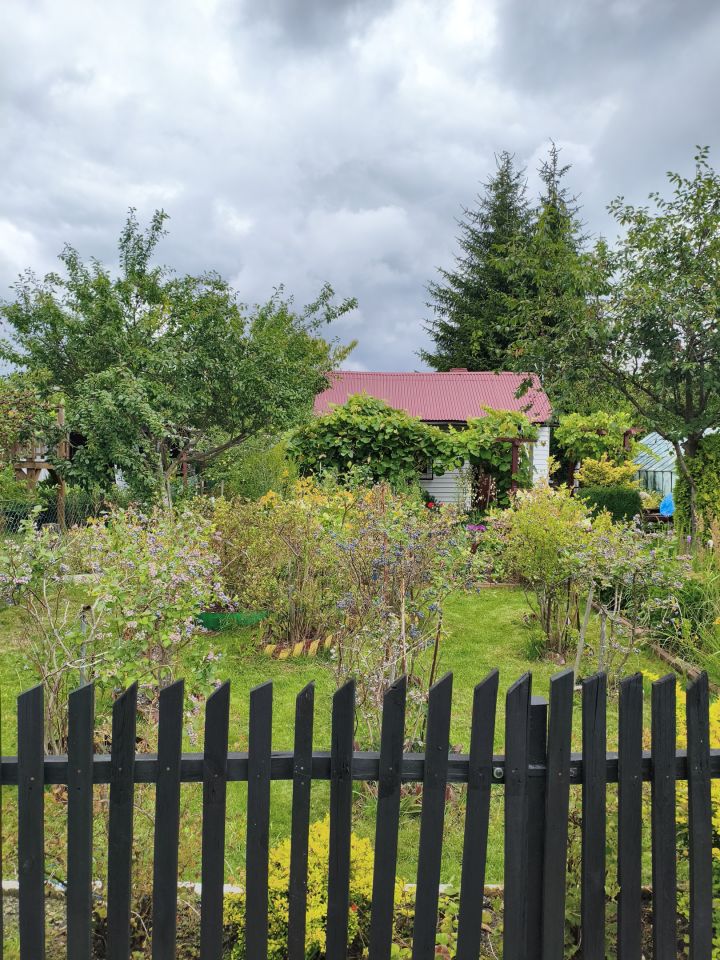 Działka rod Skarżysko-Kamienna Dolna Kamienna, ul. Piękna. Zdjęcie 8
