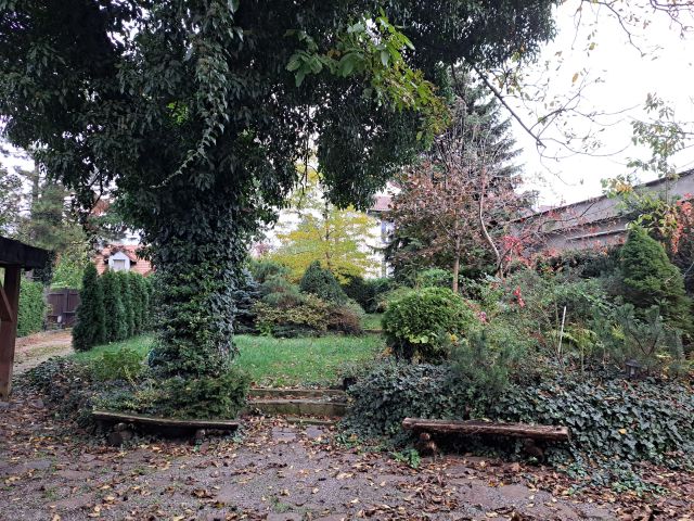 kamienica, 8 pokoi Kraków Podgórze, ul. Alfreda Dauna. Zdjęcie 1